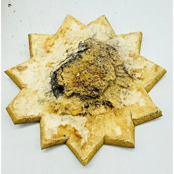 Folk Art Peru Storyteller Gourd Hand Carved Village Musicians Medium 5 inch - Picture 7 of 10